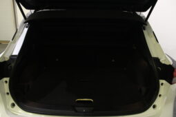 
										2023 Nissan Qashqai SV Premium 1.3 MHEV full									