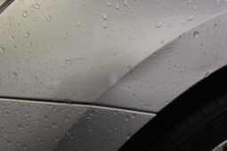 
										SKODA OCTAVIA AMBITION 1.0TSI MHEV AUTOMATIC full									