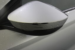 
										SKODA OCTAVIA AMBITION 1.0TSI MHEV AUTOMATIC full									