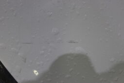 
										FORD FOCUS ST LINE 1.0 PETROL MANUAL W/REVERSE CAMERA full									