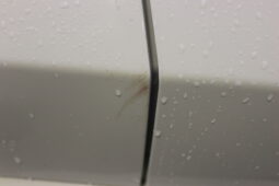 
										FORD FOCUS ST LINE 1.0 PETROL MANUAL W/REVERSE CAMERA full									