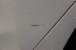 
										FORD FOCUS ST LINE 1.0 PETROL MANUAL W/REVERSE CAMERA full									