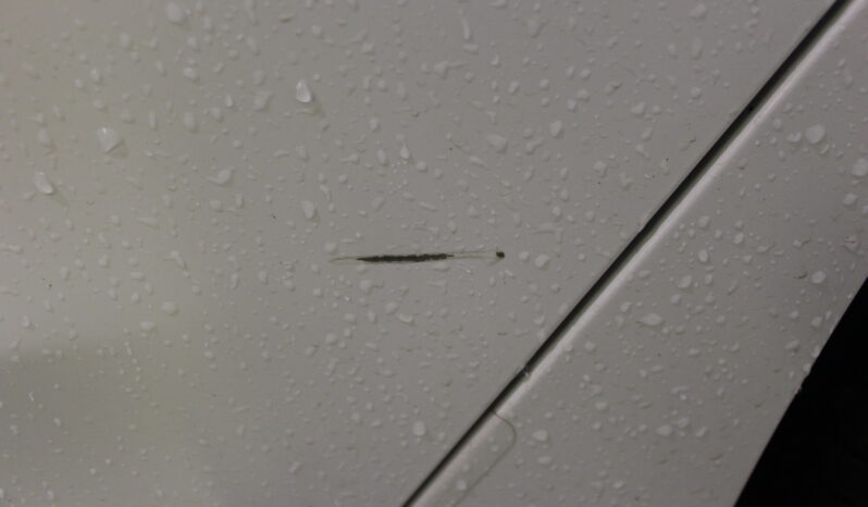 
								FORD FOCUS ST LINE 1.0 PETROL MANUAL W/REVERSE CAMERA full									