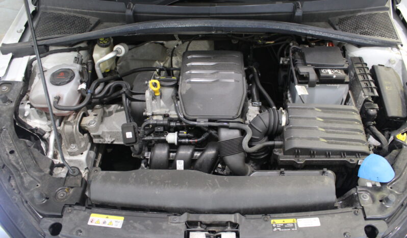 
								Skoda Fabia full									